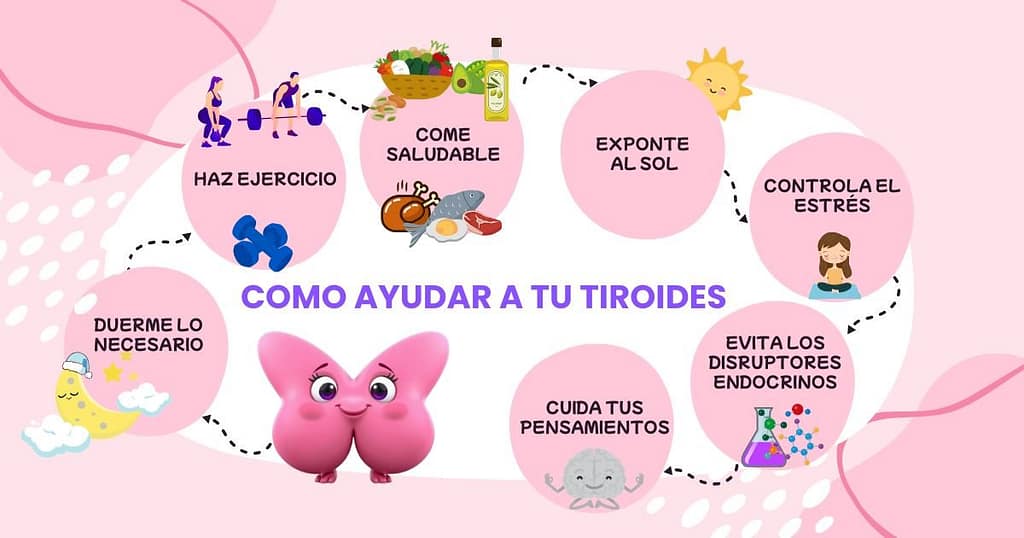 CÓMO AYUDAR A TU TIROIDES 1 Consejos para el cuidado de la tiroides: alimentación, microbiota, disruptores endocrinos y hábitos saludables