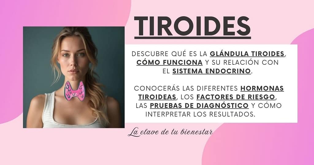 Inicio 2 Índice de temas sobre la glándula tiroides: qué es, función, relación con el sistema endocrino, hormonas tiroideas, factores de riesgo, pruebas de diagnóstico e interpretación de resultados.